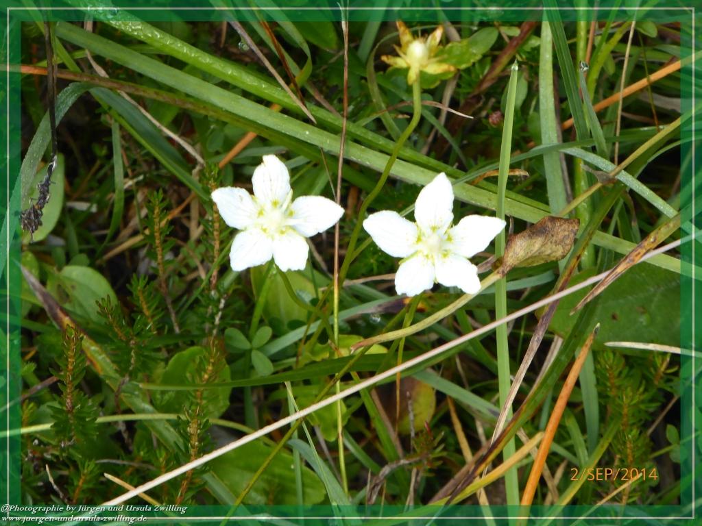 Philosophische Bildwanderung Drei Zinnen Hütte -Rifugio Antonio Locatelli - Sexten - Dolomitien