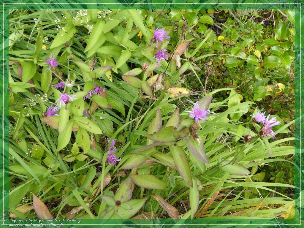 Philosophische Bildwanderung Drei Zinnen Hütte -Rifugio Antonio Locatelli - Sexten - Dolomitien