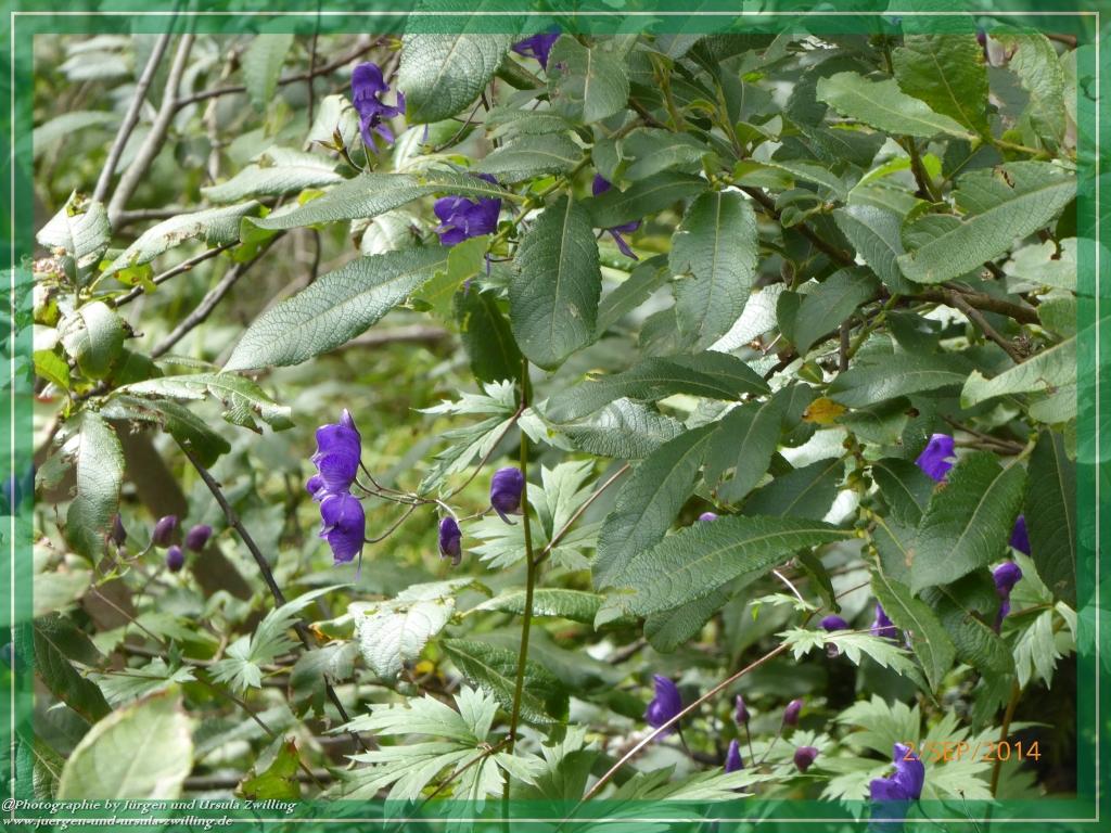 Philosophische Bildwanderung Drei Zinnen Hütte -Rifugio Antonio Locatelli - Sexten - Dolomitien