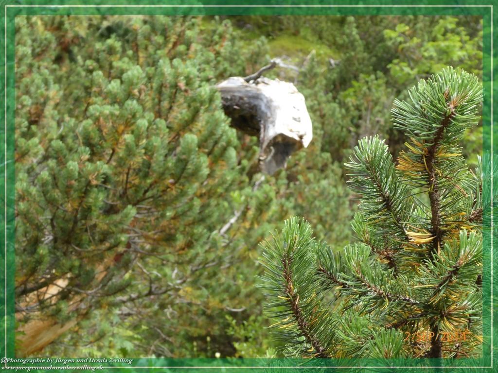 Philosophische Bildwanderung Drei Zinnen Hütte -Rifugio Antonio Locatelli - Sexten - Dolomitien