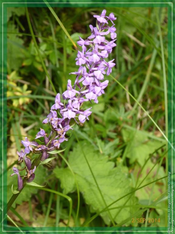 Philosophische Bildwanderung Drei Zinnen Hütte -Rifugio Antonio Locatelli - Sexten - Dolomitien