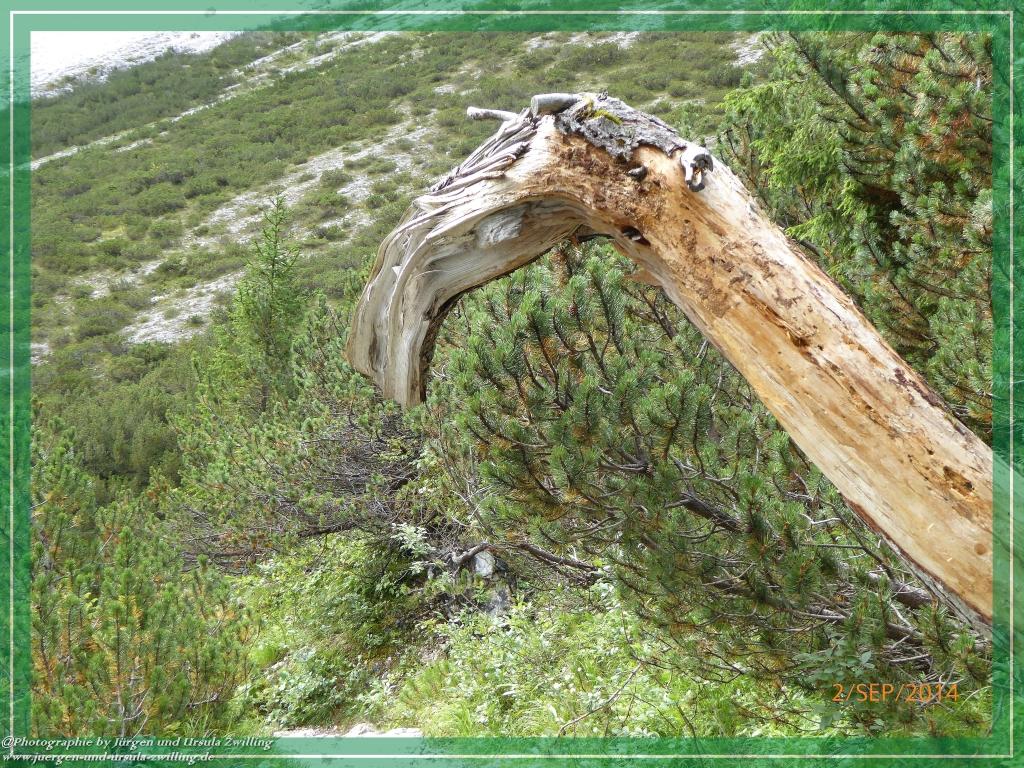 Philosophische Bildwanderung Drei Zinnen Hütte -Rifugio Antonio Locatelli - Sexten - Dolomitien