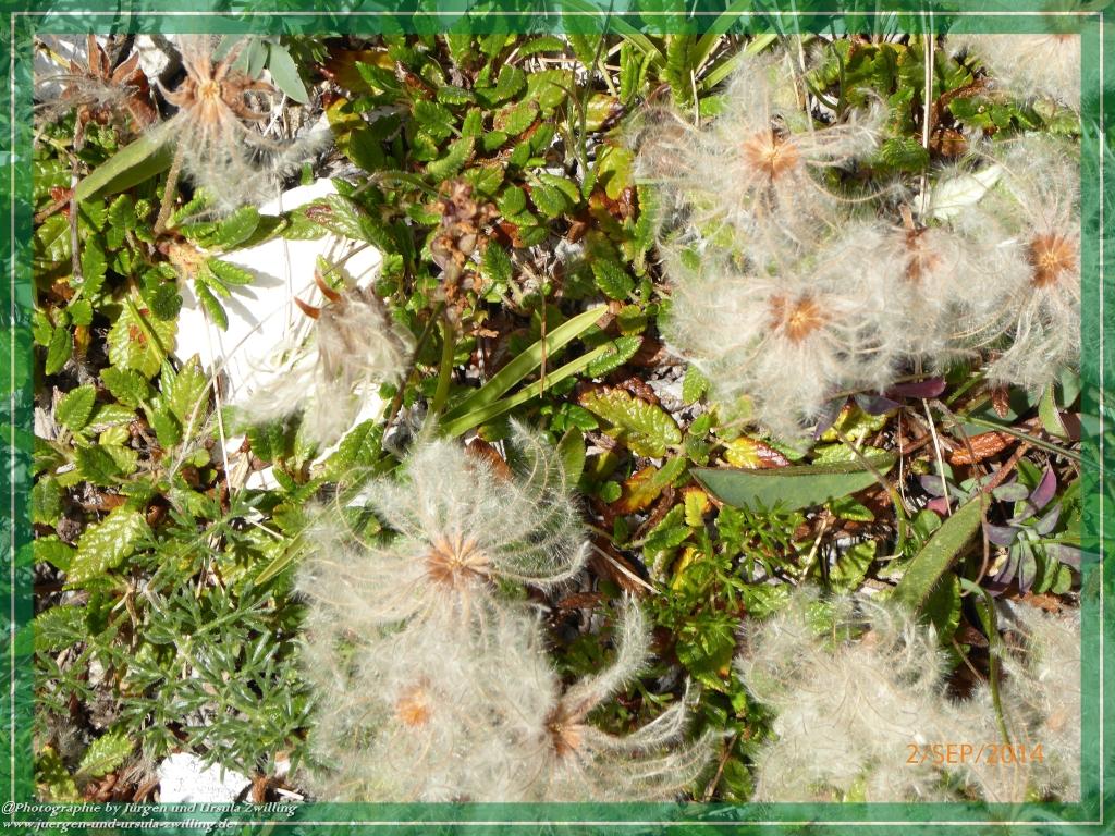 Philosophische Bildwanderung Drei Zinnen Hütte -Rifugio Antonio Locatelli - Sexten - Dolomitien