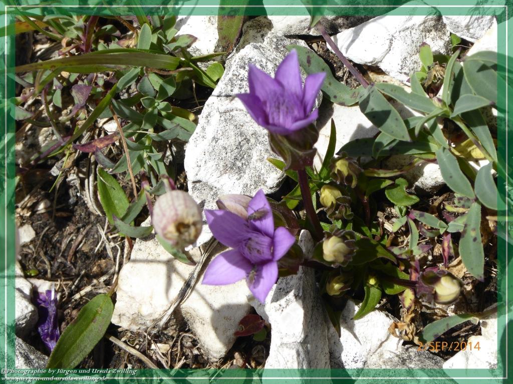 Philosophische Bildwanderung Drei Zinnen Hütte -Rifugio Antonio Locatelli - Sexten - Dolomitien