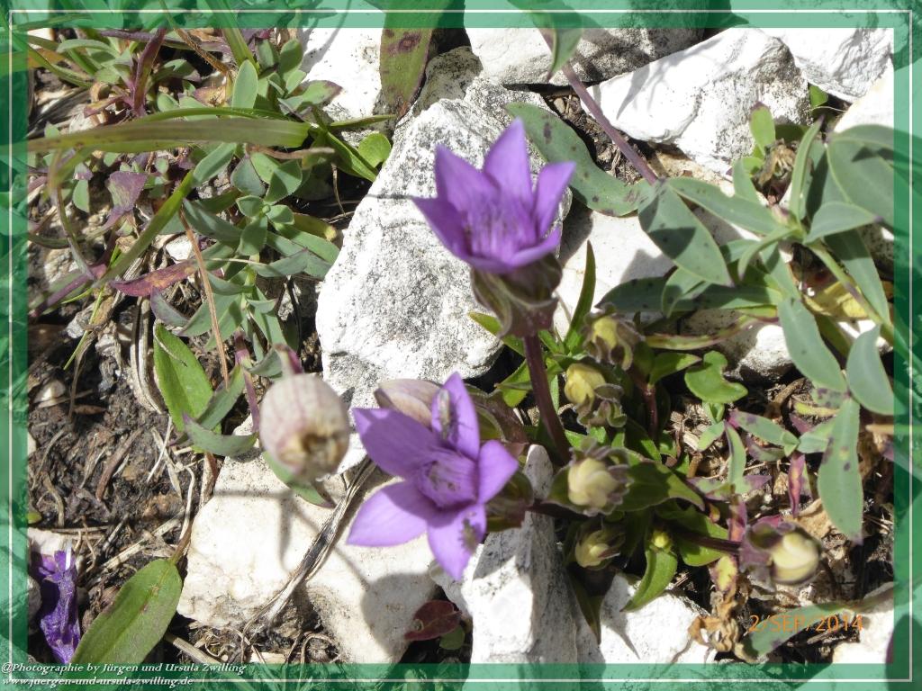 Philosophische Bildwanderung Drei Zinnen Hütte -Rifugio Antonio Locatelli - Sexten - Dolomitien