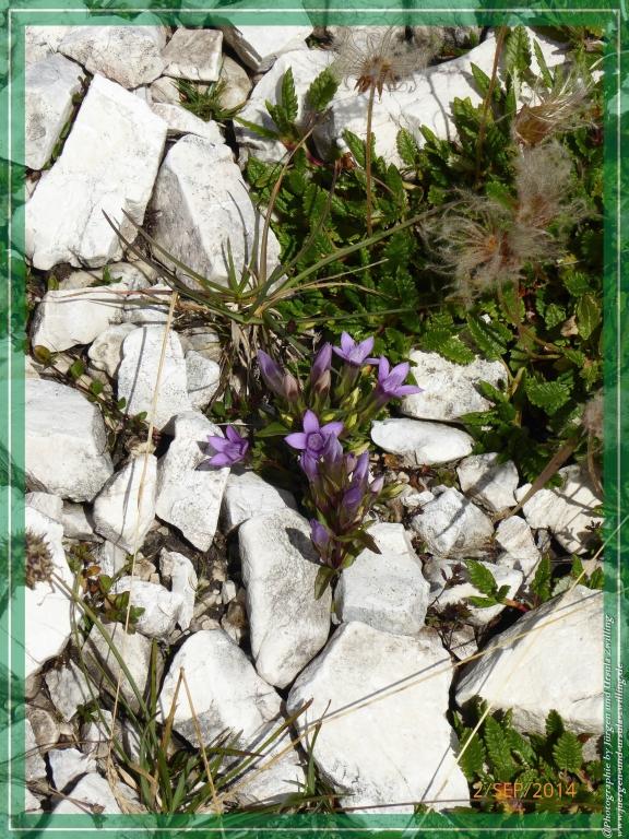 Philosophische Bildwanderung Drei Zinnen Hütte -Rifugio Antonio Locatelli - Sexten - Dolomitien