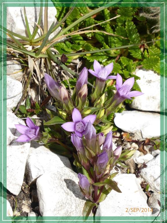 Philosophische Bildwanderung Drei Zinnen Hütte -Rifugio Antonio Locatelli - Sexten - Dolomitien