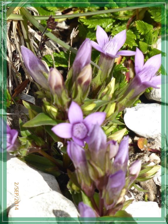 Philosophische Bildwanderung Drei Zinnen Hütte -Rifugio Antonio Locatelli - Sexten - Dolomitien