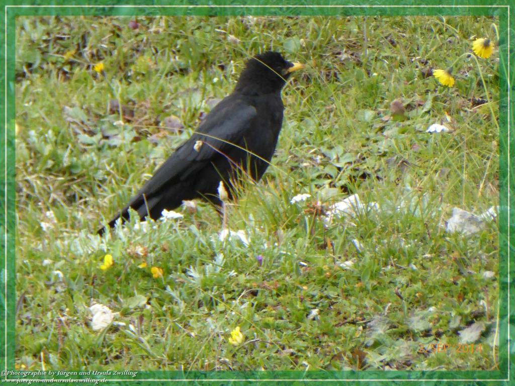 Philosophische Bildwanderung Drei Zinnen Hütte -Rifugio Antonio Locatelli - Sexten - Dolomitien