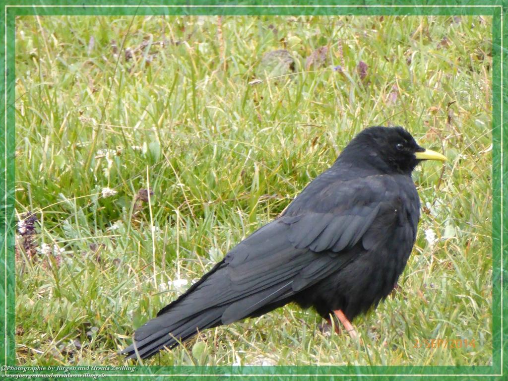 Philosophische Bildwanderung Drei Zinnen Hütte -Rifugio Antonio Locatelli - Sexten - Dolomitien