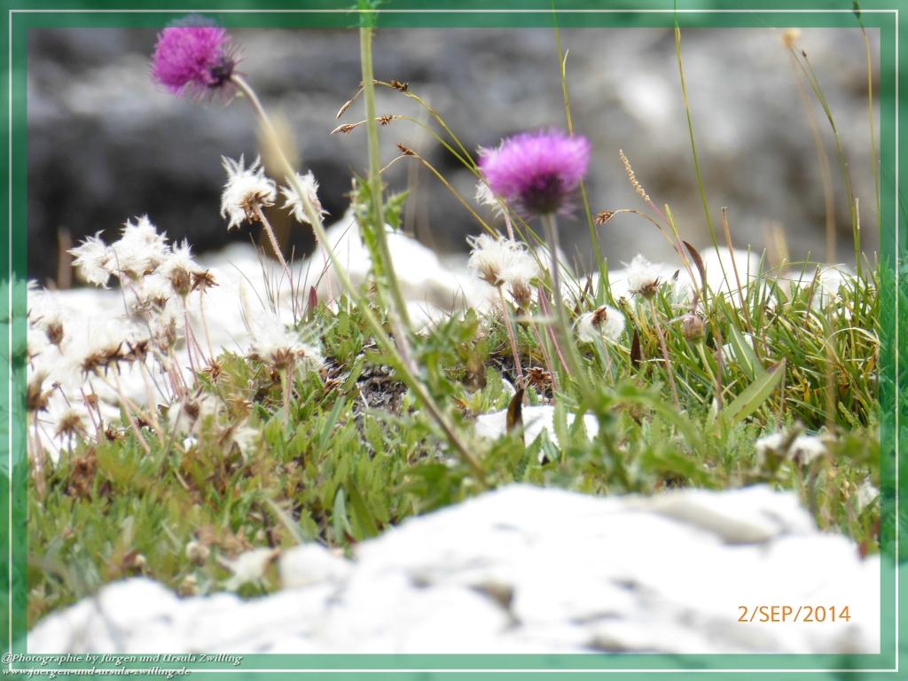 Philosophische Bildwanderung Drei Zinnen Hütte -Rifugio Antonio Locatelli - Sexten - Dolomitien