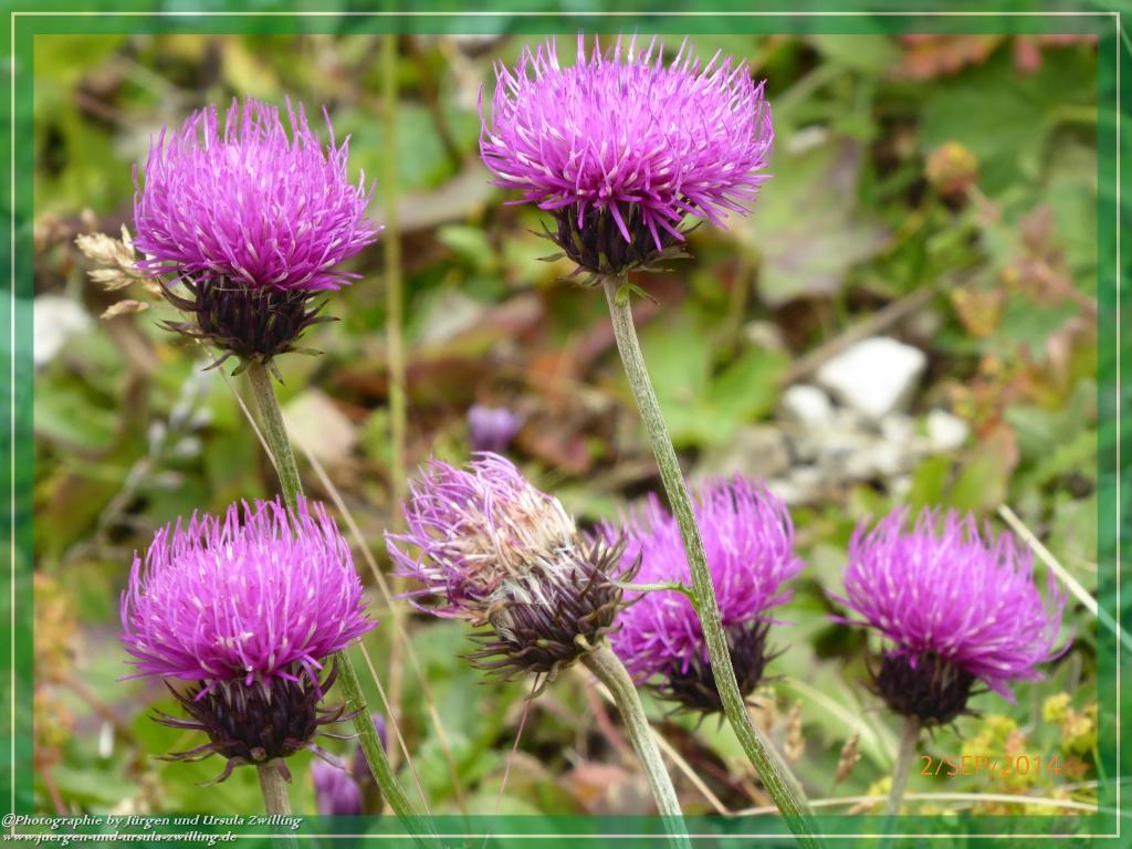 Philosophische Bildwanderung Drei Zinnen Hütte -Rifugio Antonio Locatelli - Sexten - Dolomitien