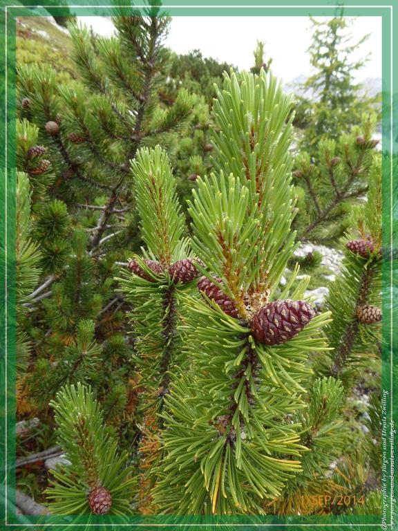 Philosophische Bildwanderung - Zu den Gsellwiesen in  Sexten - Dolomitien