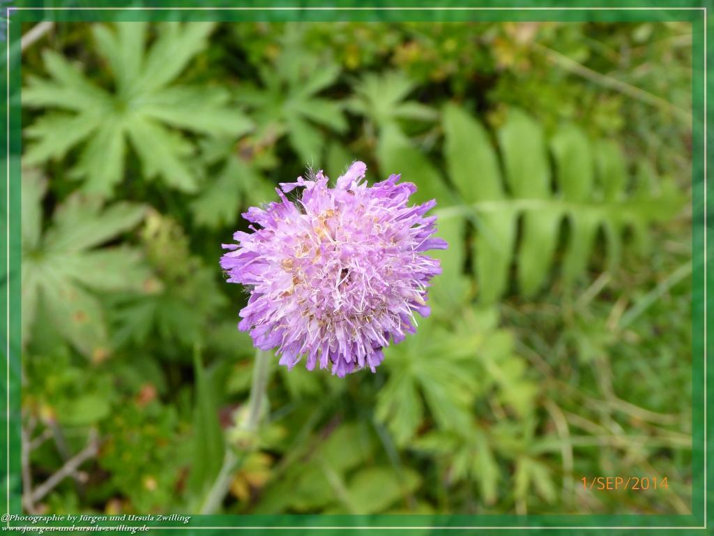 Philosophische Bildwanderung - Zu den Gsellwiesen in  Sexten - Dolomitien