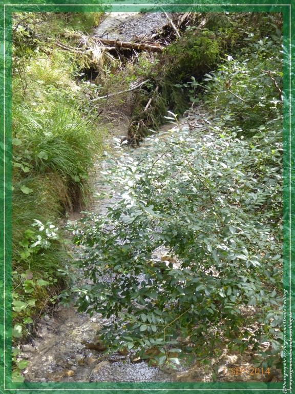 Philosophische Bildwanderung - Zu den Gsellwiesen in  Sexten - Dolomitien