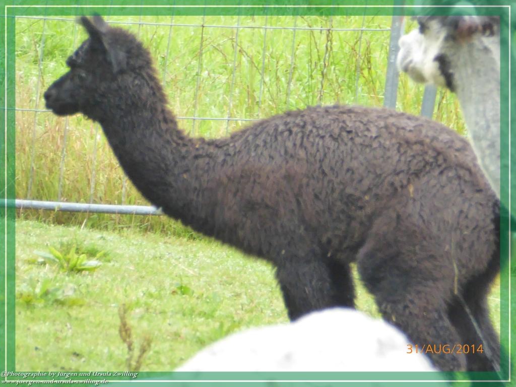 Philosophische Bildwanderung - Die Rotwandwiesen -Sexten - Dolomitien