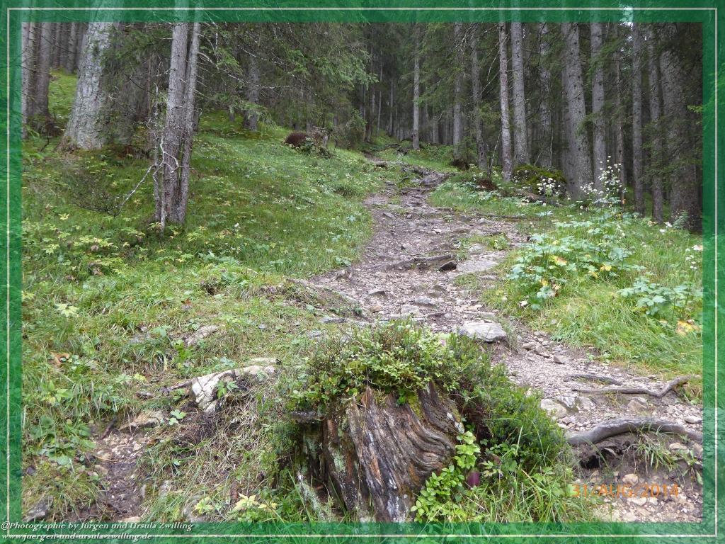 Philosophische Bildwanderung - Die Rotwandwiesen -Sexten - Dolomitien