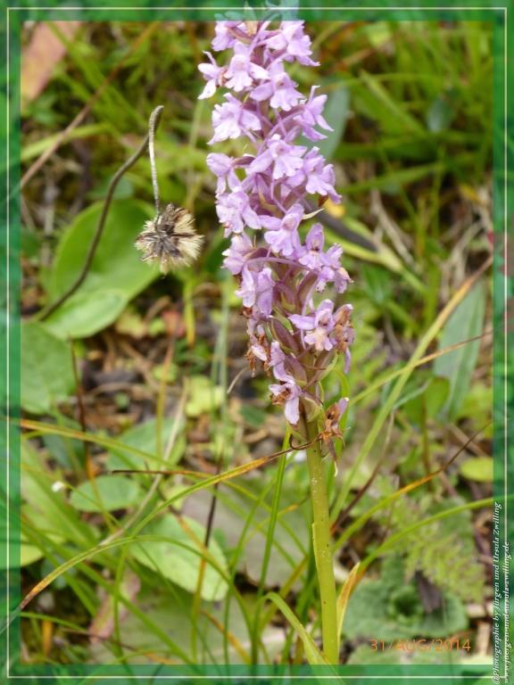 Philosophische Bildwanderung - Die Rotwandwiesen -Sexten - Dolomitien
