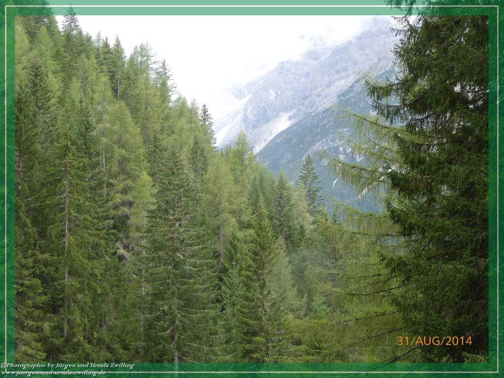 Philosophische Bildwanderung - Die Rotwandwiesen -Sexten - Dolomitien