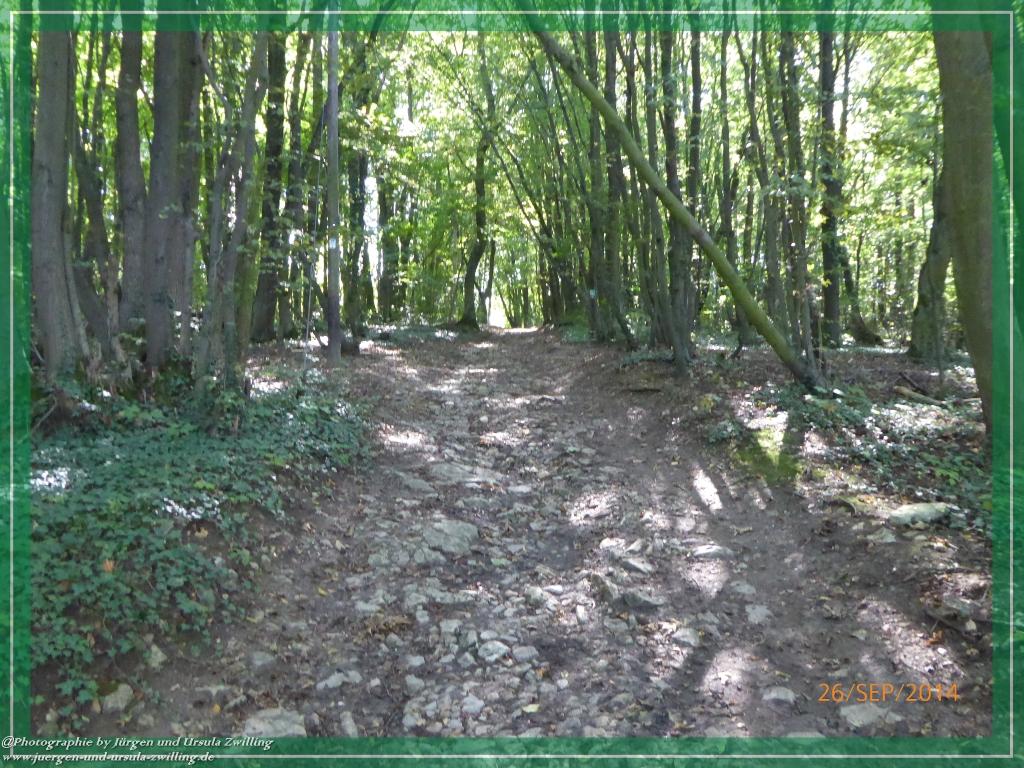 Philosophische Bildwanderung Hiwweltour-Bismarckturm