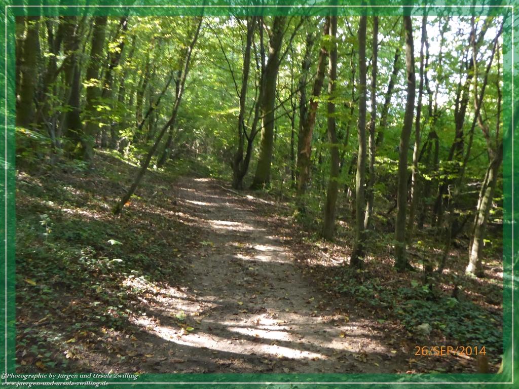 Philosophische Bildwanderung Hiwweltour-Bismarckturm