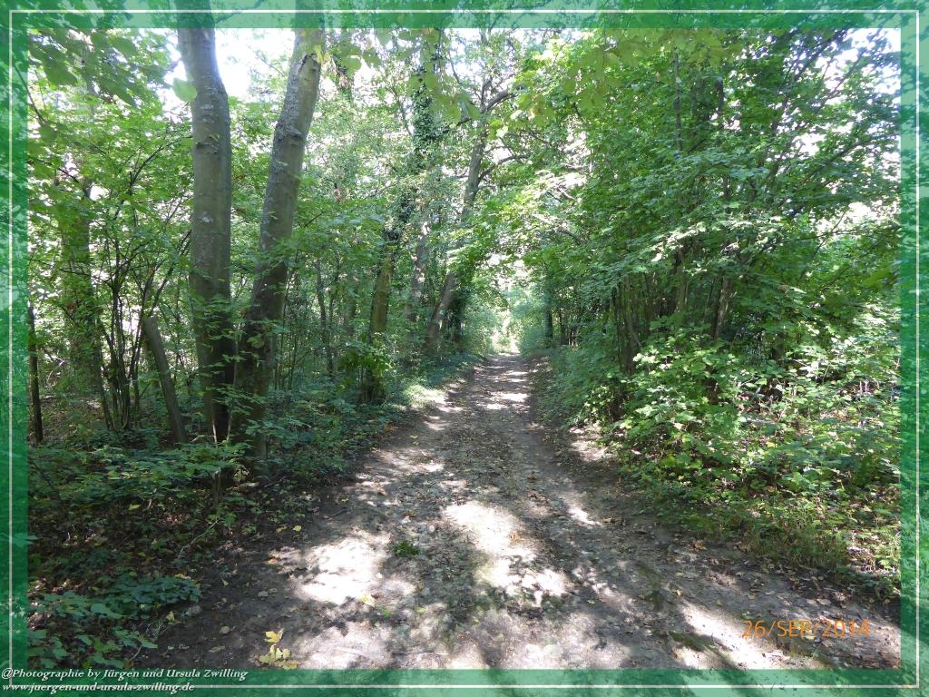 Philosophische Bildwanderung Hiwweltour-Bismarckturm