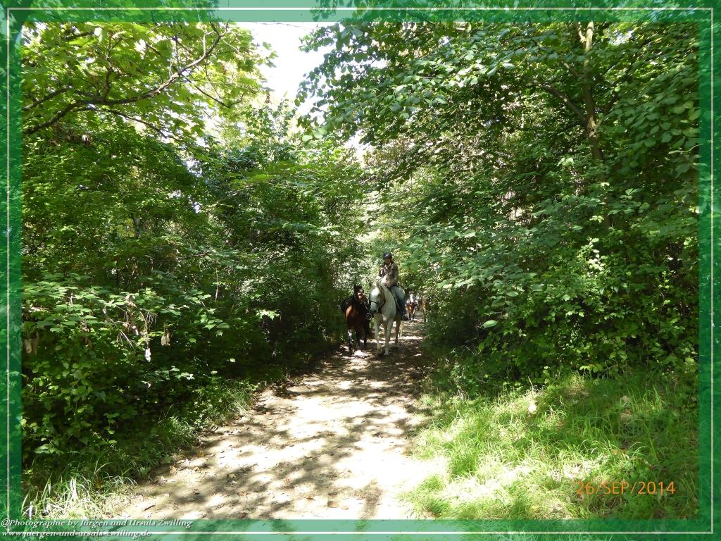 Philosophische Bildwanderung Hiwweltour-Bismarckturm