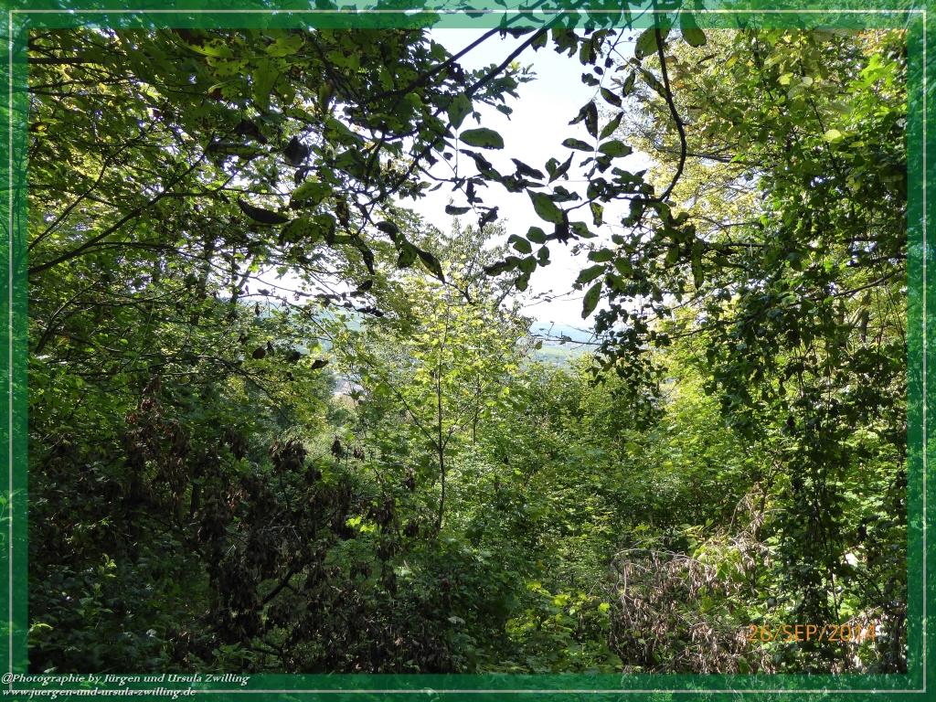 Philosophische Bildwanderung Hiwweltour-Bismarckturm