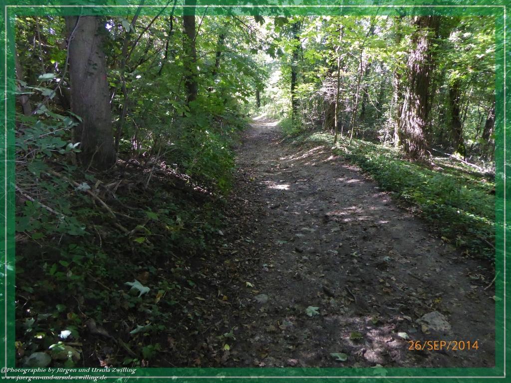 Philosophische Bildwanderung Hiwweltour-Bismarckturm