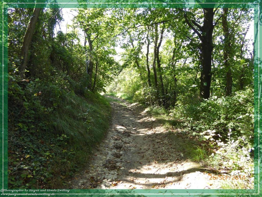 Philosophische Bildwanderung Hiwweltour-Bismarckturm