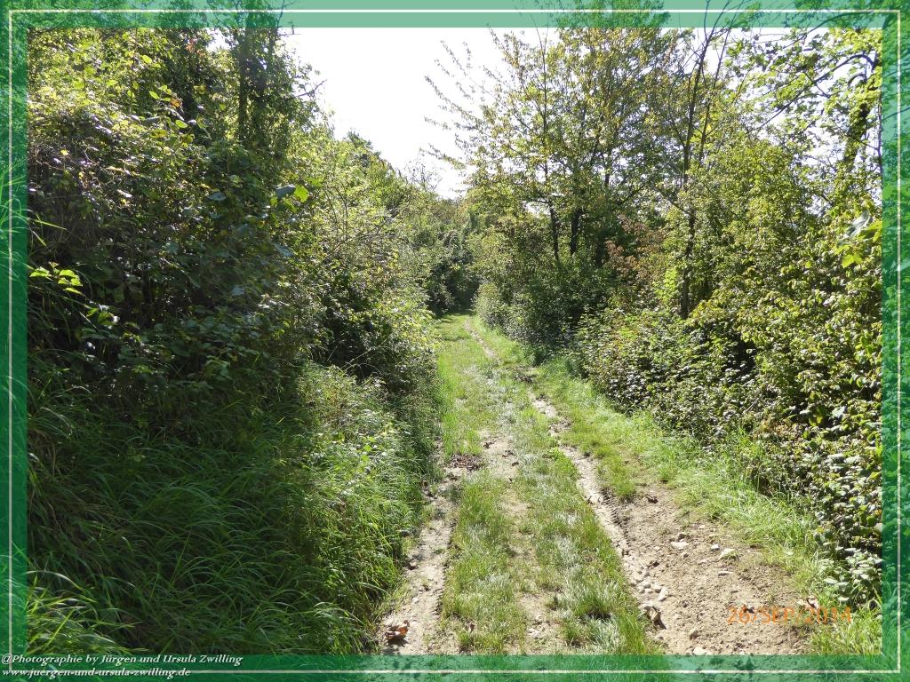 Philosophische Bildwanderung Hiwweltour-Bismarckturm