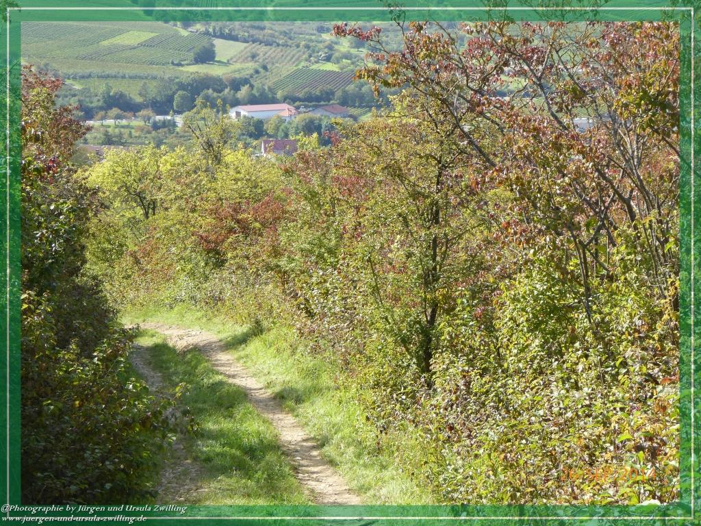 Philosophische Bildwanderung Hiwweltour-Bismarckturm