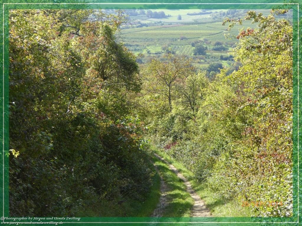 Philosophische Bildwanderung Hiwweltour-Bismarckturm