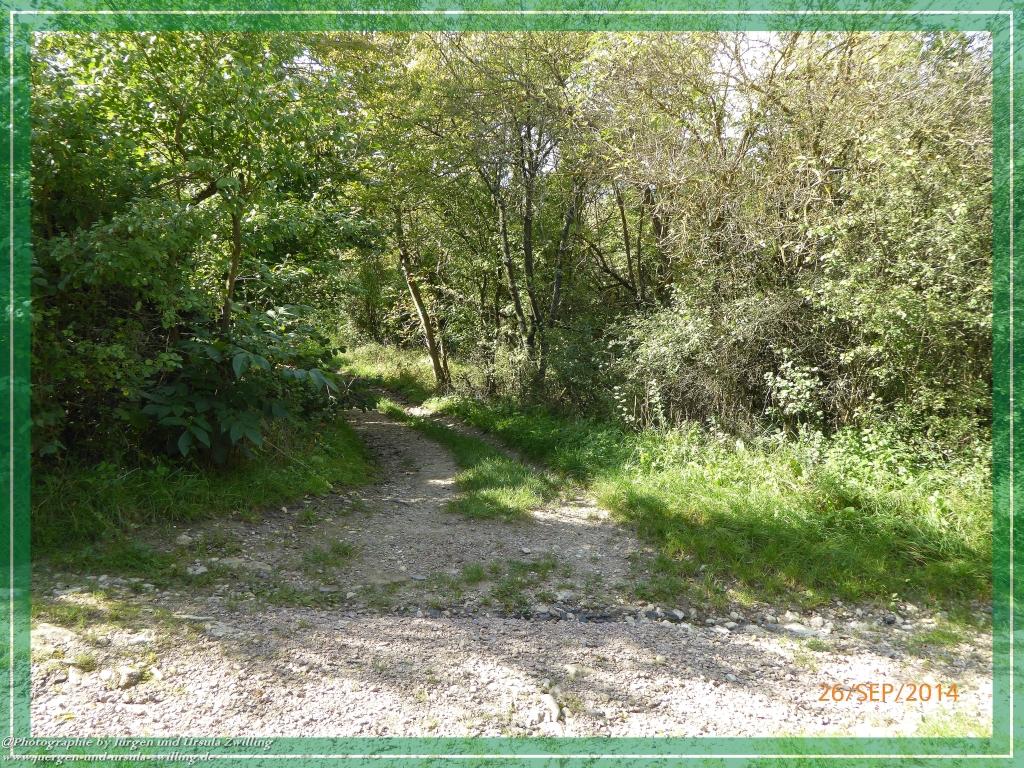 Philosophische Bildwanderung Hiwweltour-Bismarckturm