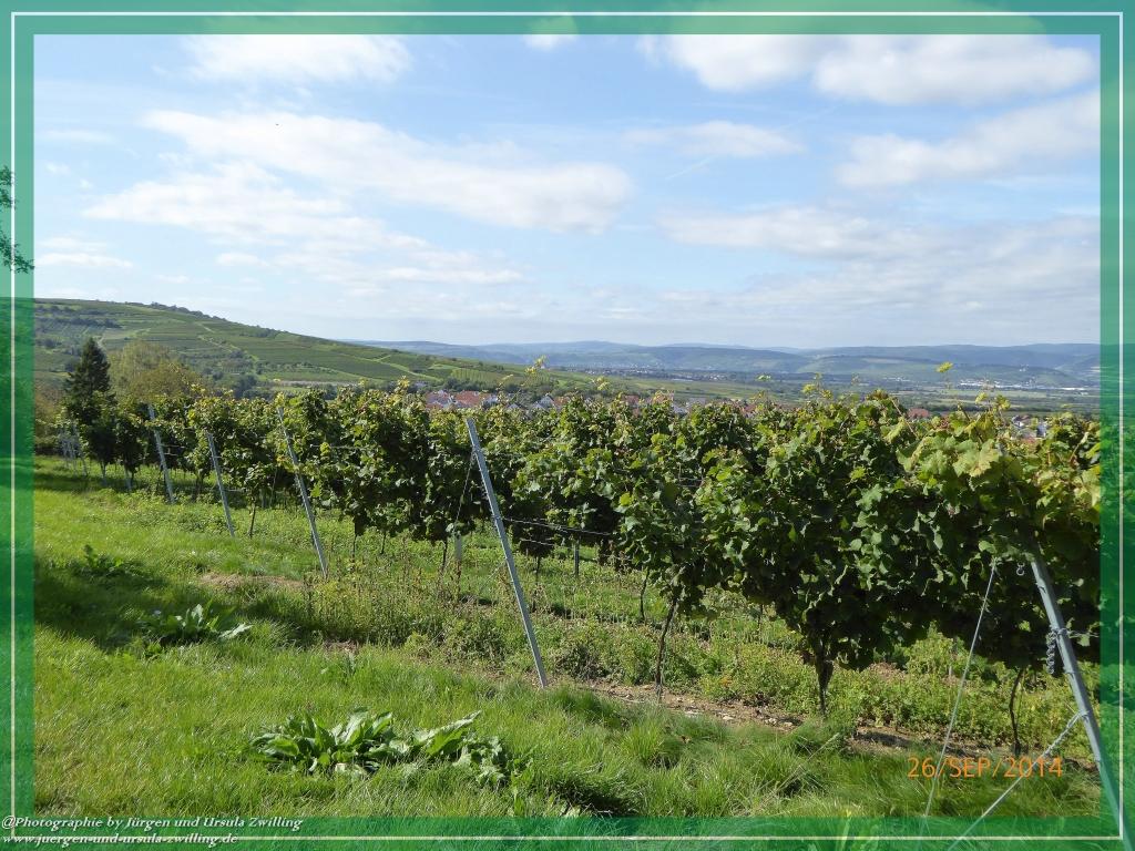 Philosophische Bildwanderung Hiwweltour-Bismarckturm