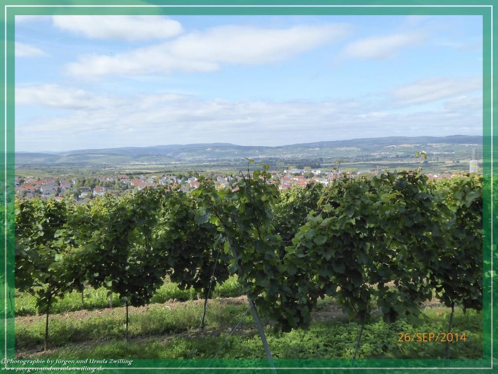 Philosophische Bildwanderung Hiwweltour-Bismarckturm