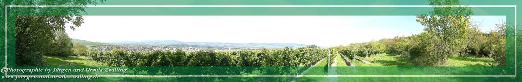 Philosophische Bildwanderung Hiwweltour-Bismarckturm