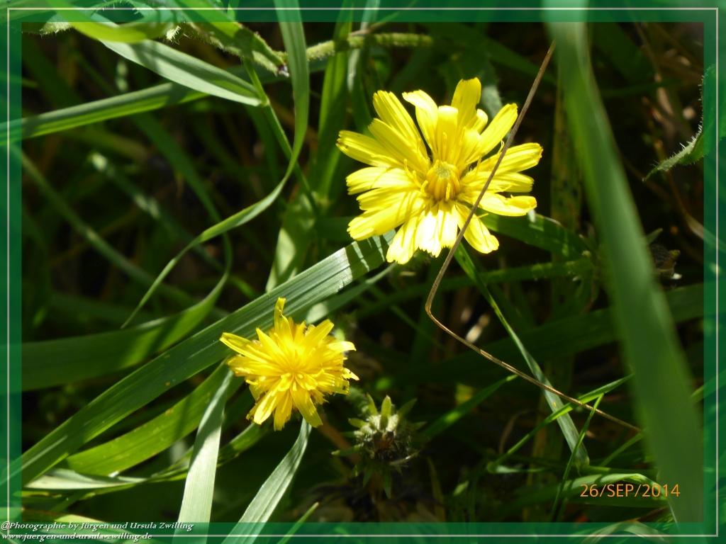 Philosophische Bildwanderung Hiwweltour-Bismarckturm