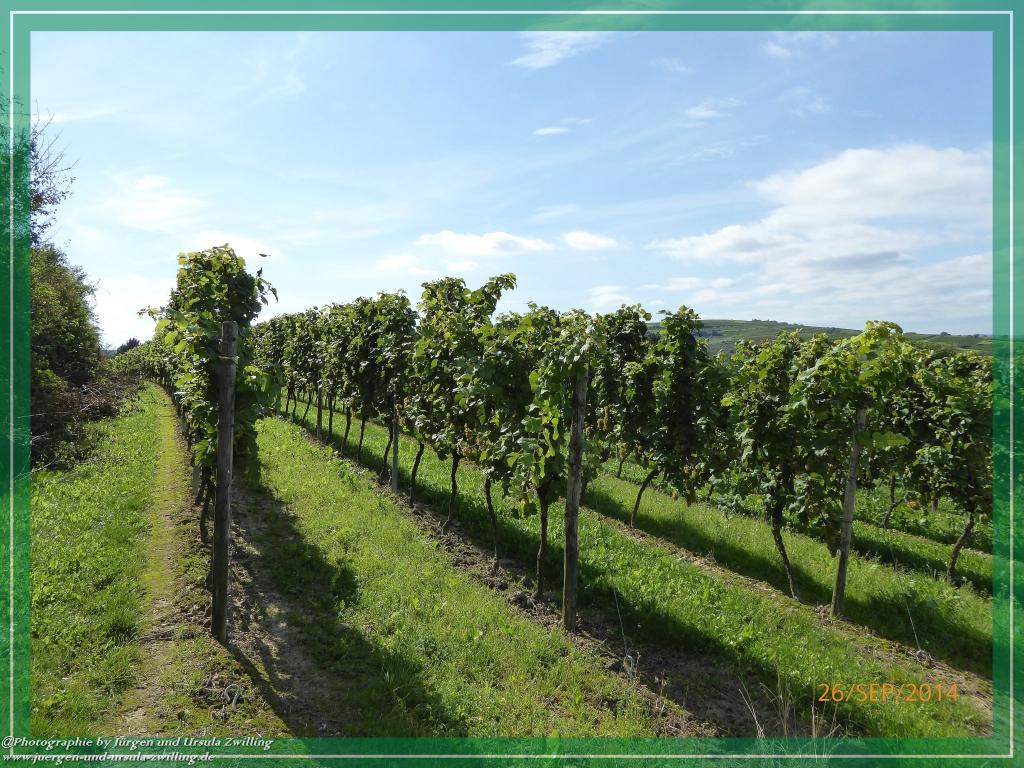 Philosophische Bildwanderung Hiwweltour-Bismarckturm
