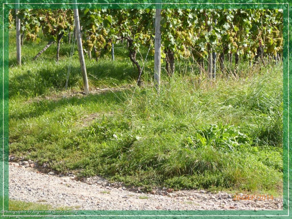 Philosophische Bildwanderung Hiwweltour-Bismarckturm