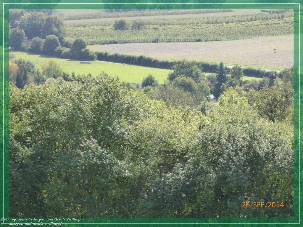 Philosophische Bildwanderung Hiwweltour-Bismarckturm