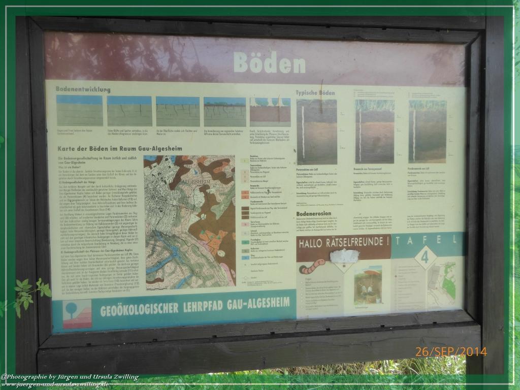 Philosophische Bildwanderung Hiwweltour-Bismarckturm