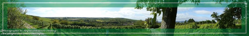 Philosophische Bildwanderung Hiwweltour-Bismarckturm