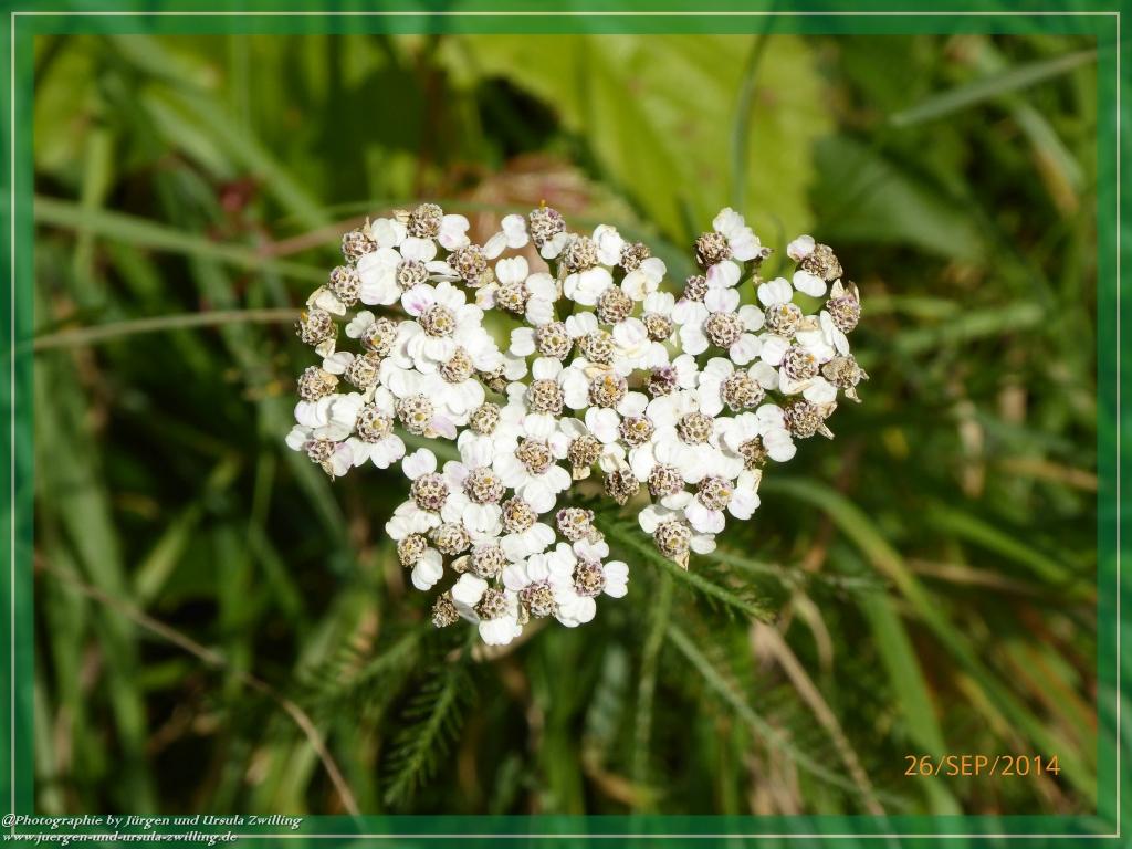 Philosophische Bildwanderung Hiwweltour-Bismarckturm