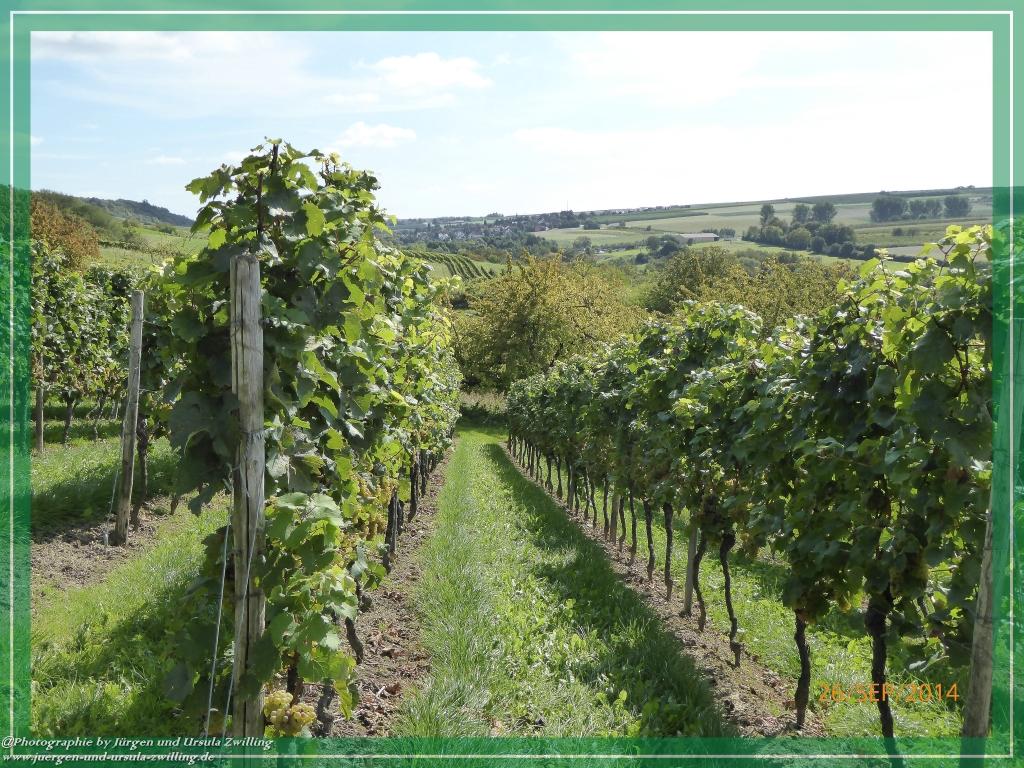 Philosophische Bildwanderung Hiwweltour-Bismarckturm