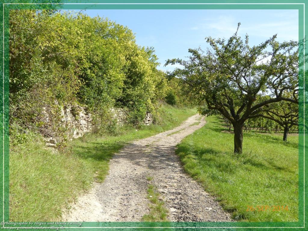 Philosophische Bildwanderung Hiwweltour-Bismarckturm