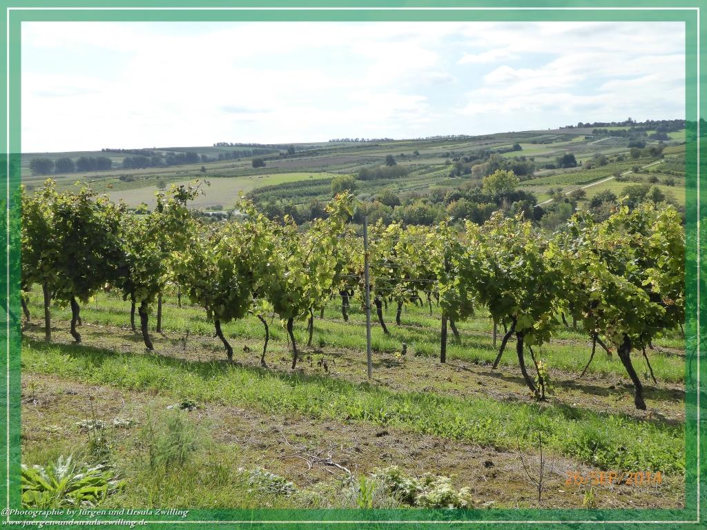 Philosophische Bildwanderung Hiwweltour-Bismarckturm