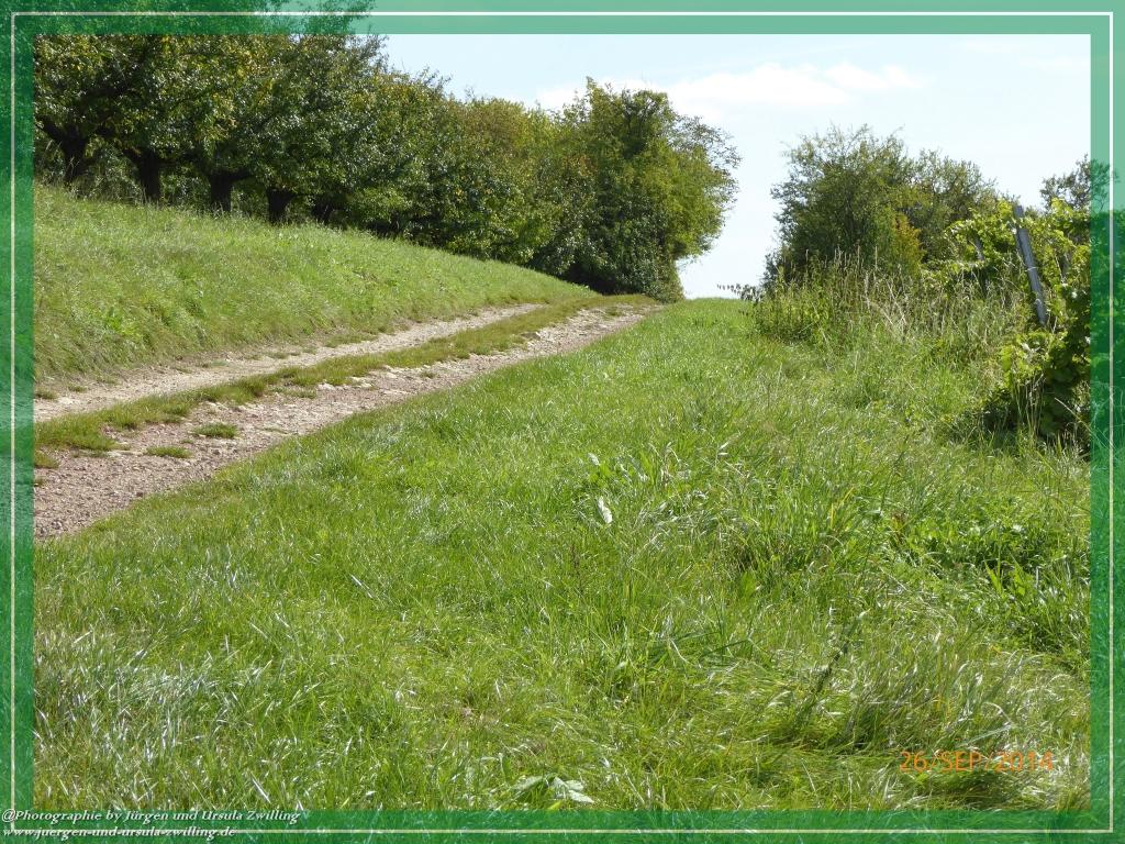 Philosophische Bildwanderung Hiwweltour-Bismarckturm
