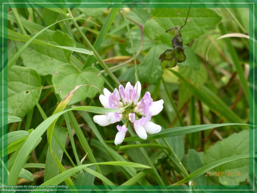 Philosophische Bildwanderung Hiwweltour-Bismarckturm