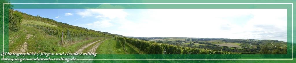 Philosophische Bildwanderung Hiwweltour-Bismarckturm